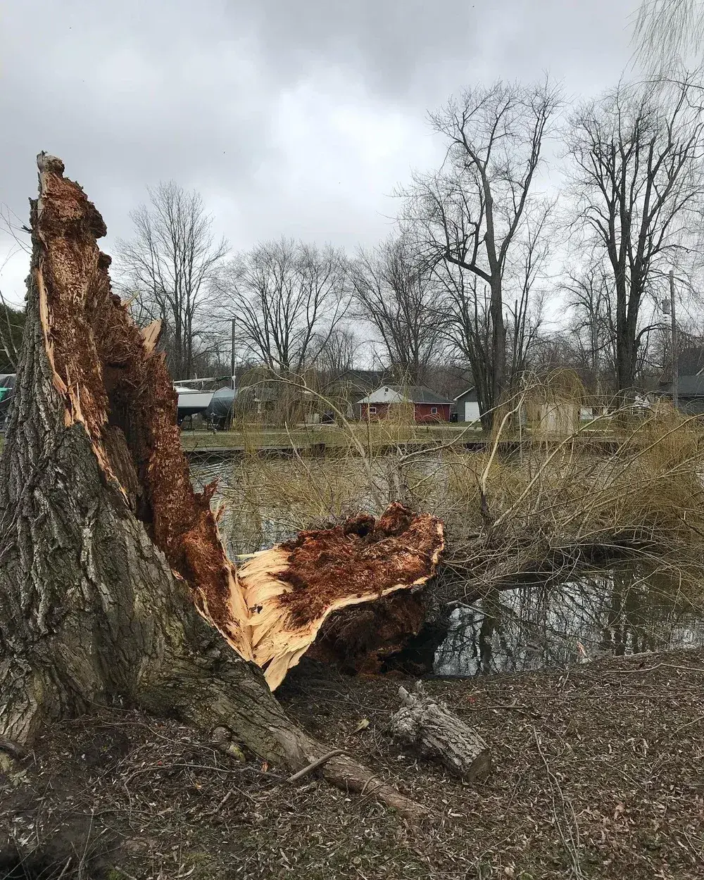 24/7 Emergency Storm Cleanup
