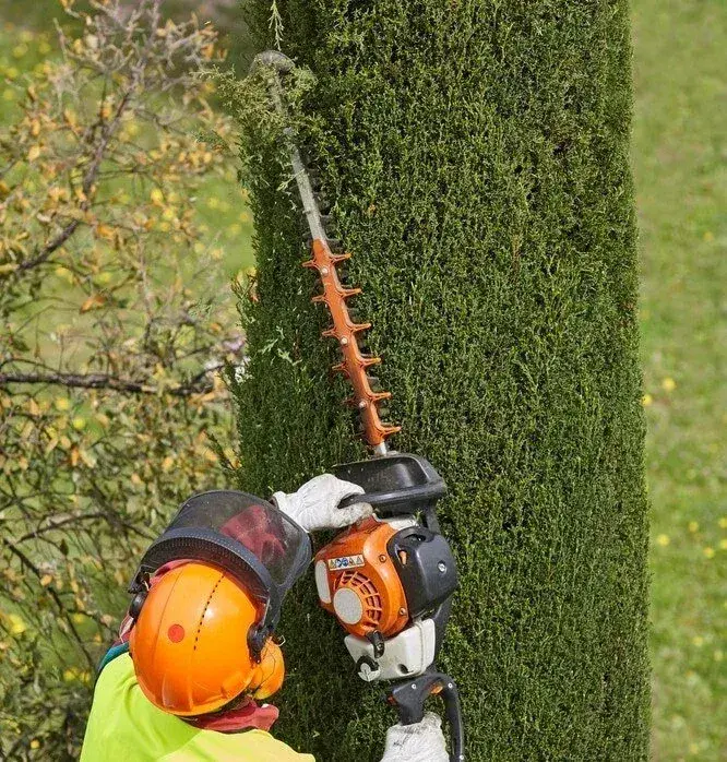 Hedge & Shrub Trimming