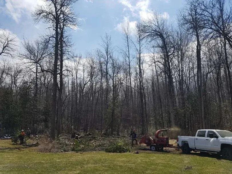 Lot Clearing
